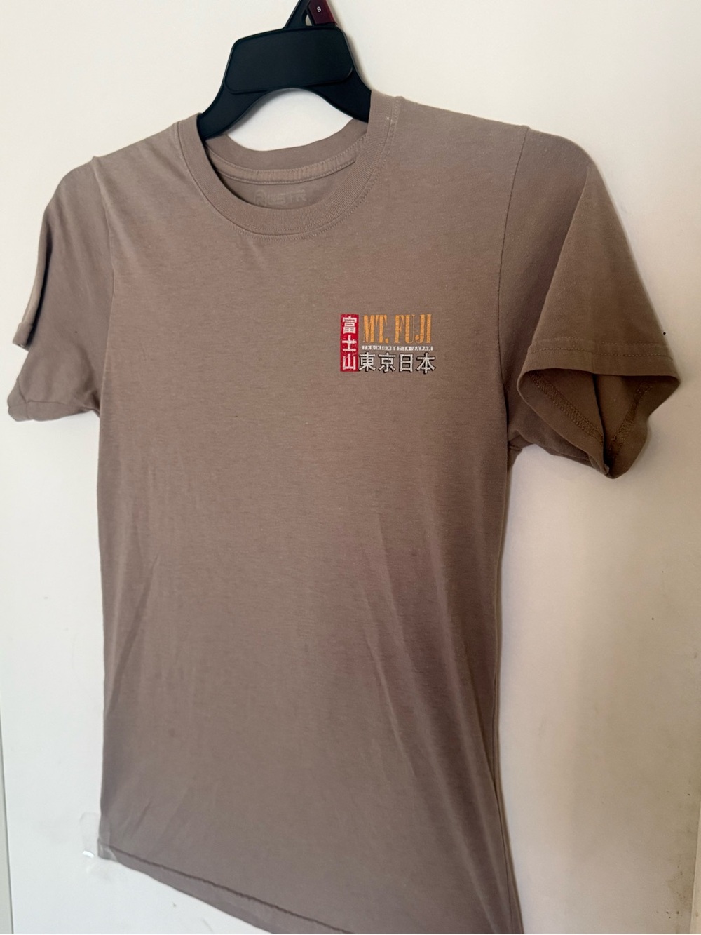 Mt. Fuji Graphic Tee - Brown